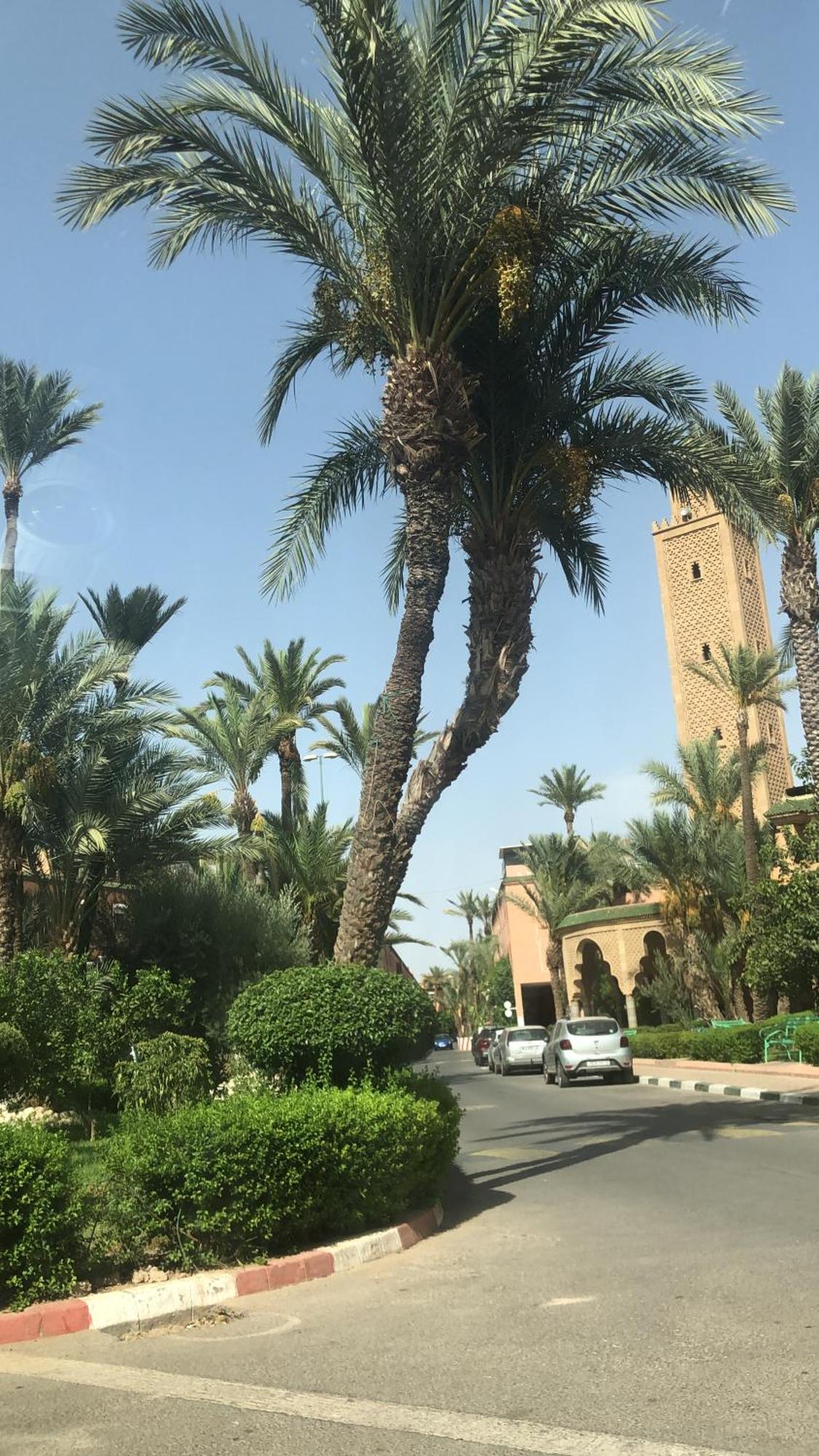 بيت للعطل Lyna مراكش